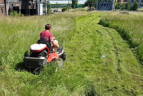 Jak przygotować wieloletnie nieużytki pod uprawy? Pomocne narzędzia